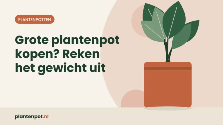 Grote plantenpot kopen? Reken het gewicht uit