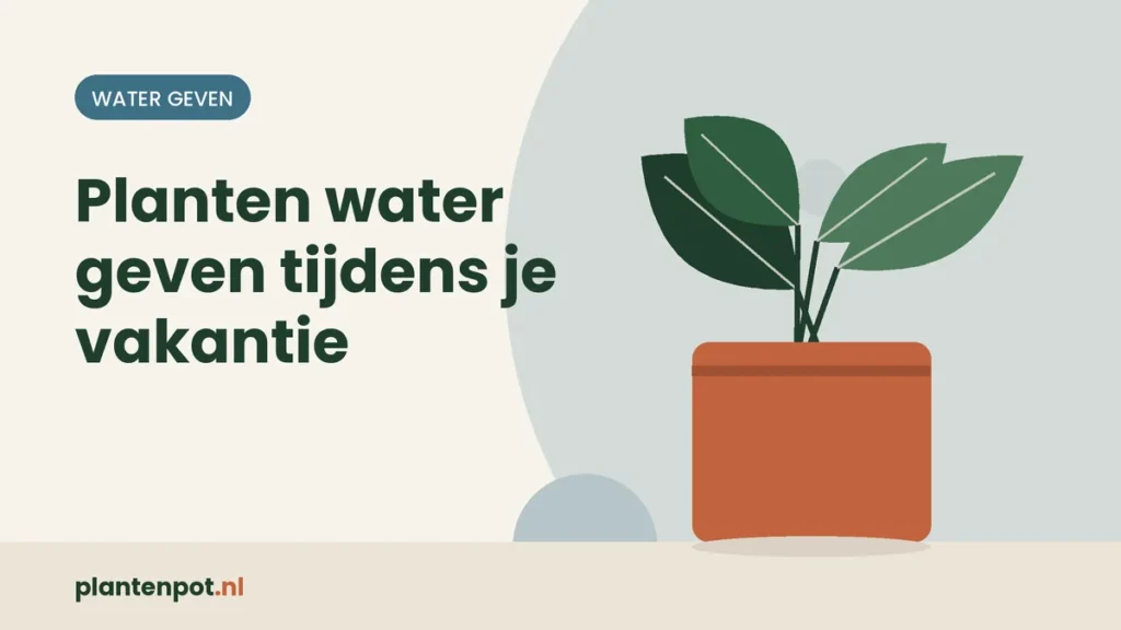 Planten water geven tijdens je vakantie