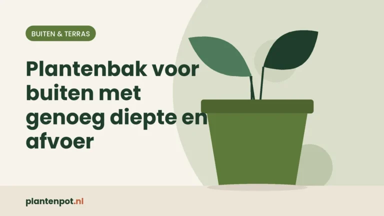 Plantenbak voor buiten met genoeg diepte en afvoer