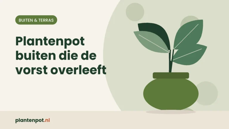 Plantenpot buiten die de vorst overleeft